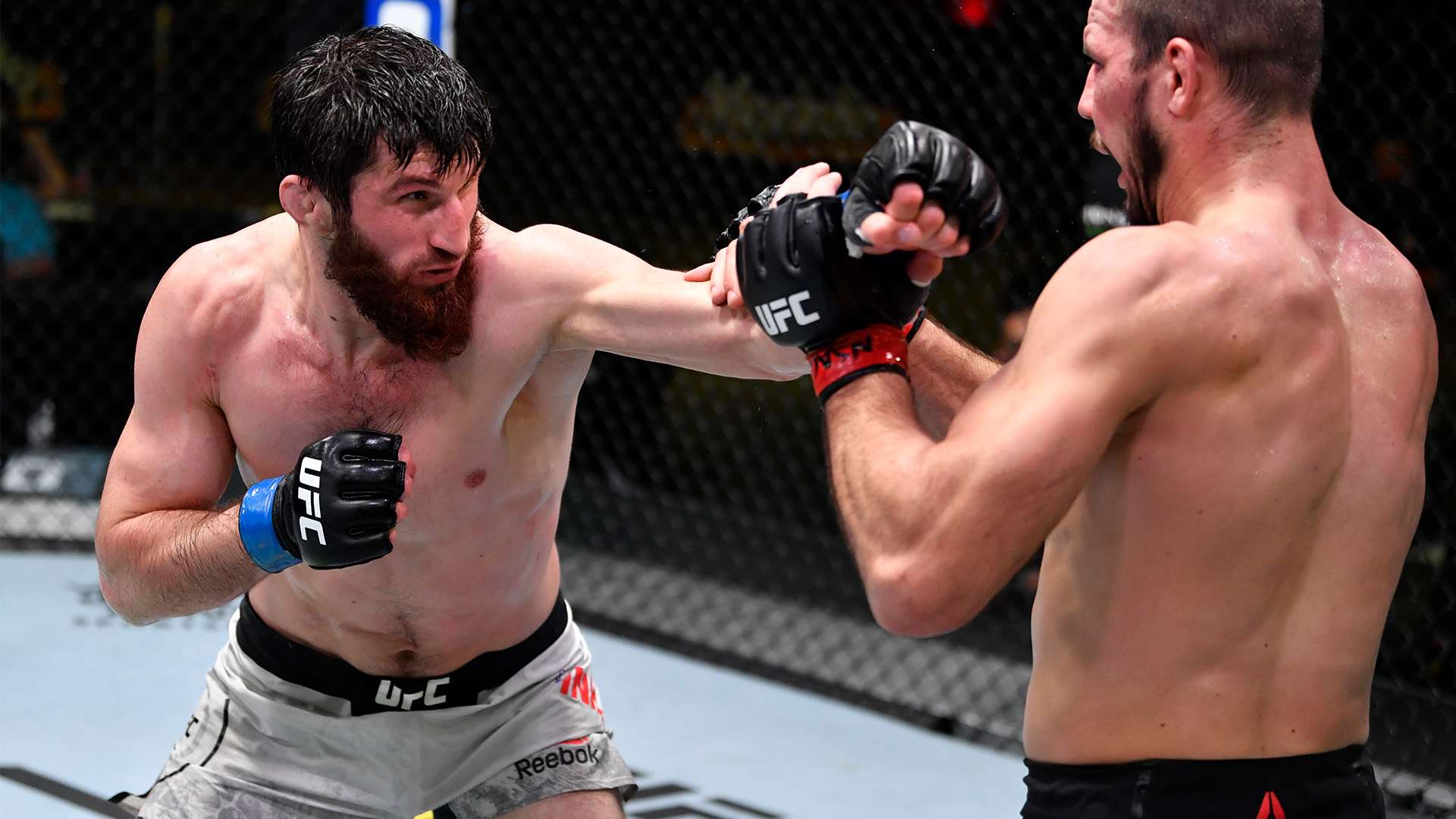 他不仅贡献 他不仅贡献