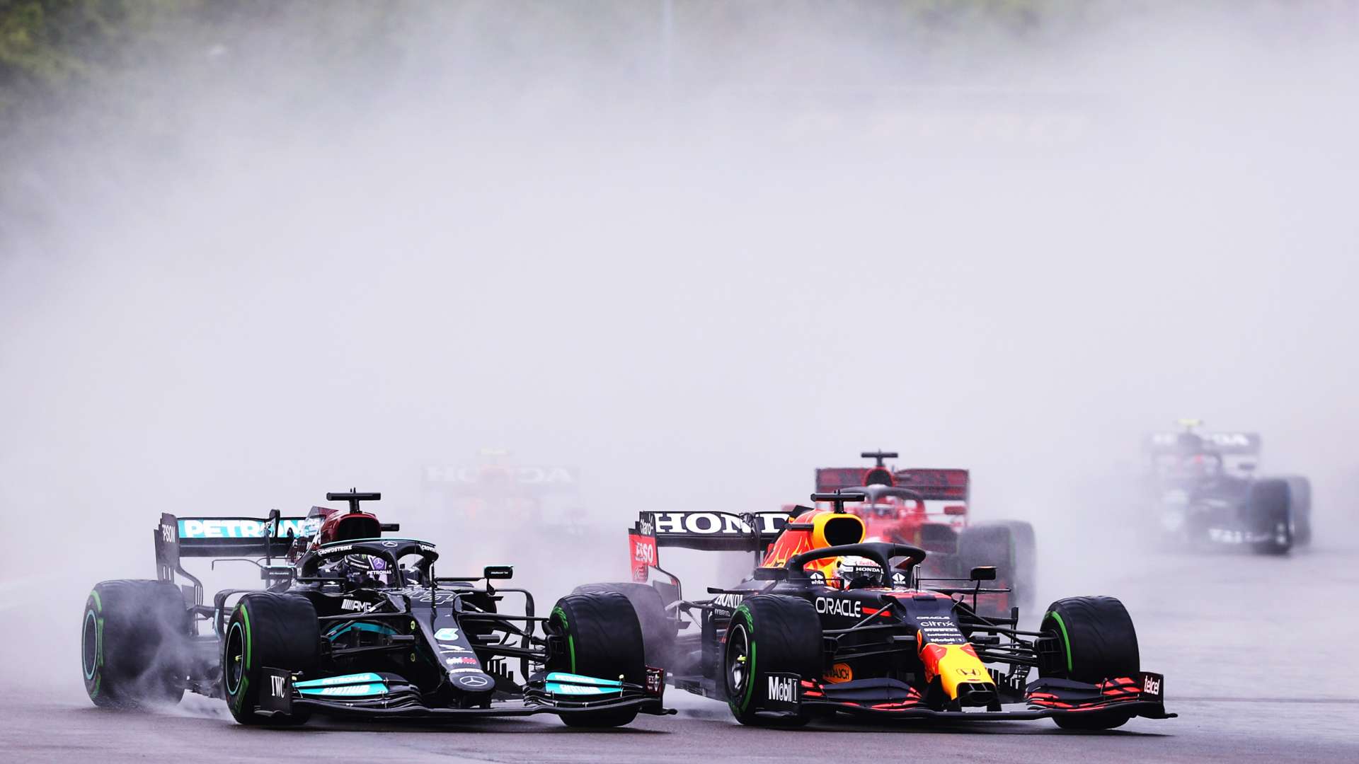 了新鮮血液 了新鮮血液